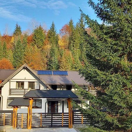 Cabana Ioana ヴォロネツ エクステリア 写真