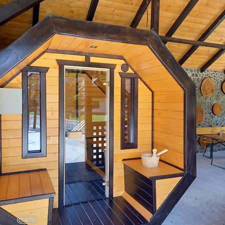 Cabana Ioana ヴォロネツ エクステリア 写真